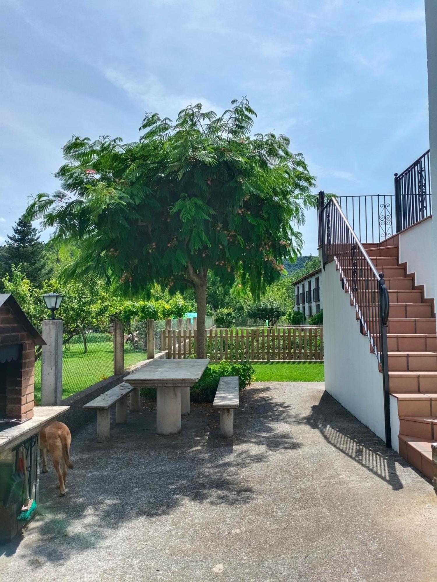Apartamento Rural Casa Paco Con Jacuzzi Exterior Y Barbacoa Ainsa Luaran gambar